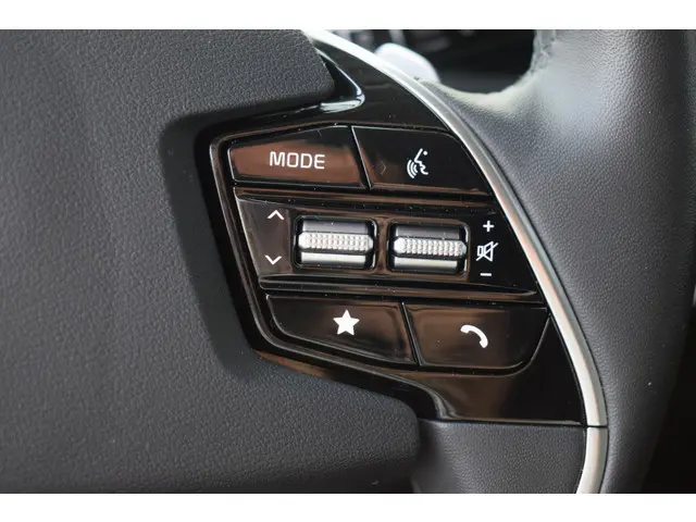 Kia Niro EV Edition Advanced 64.8 kWh 2024 Elektrisch 13