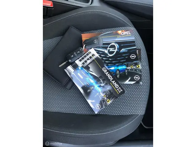 Opel Grandland X 1.2 Turbo Online Edition 2018 Benzine 18