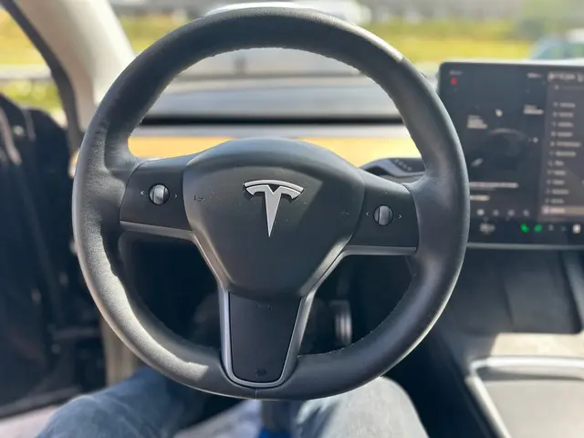 Tesla Model Y Performance AWD 75 kWh 2022 Elektrisch 10