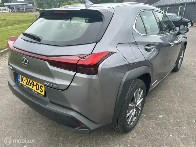 Lexus UX 300e Luxury 54 kWh 2020 Elektrisch 4
