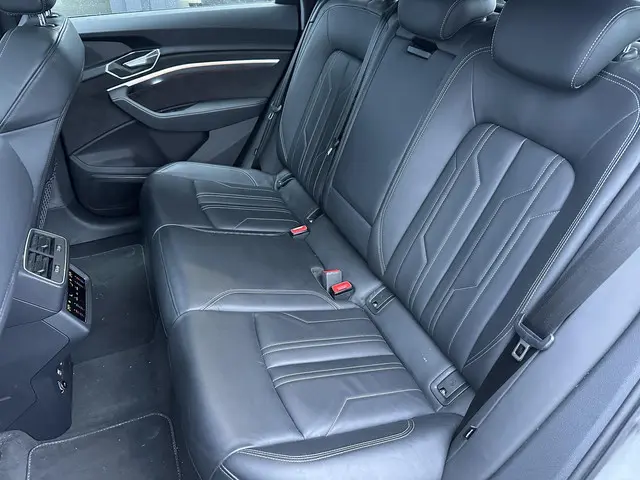 Audi e-tron e-tron 55 quattro 95 kWh 2020 Elektrisch 13