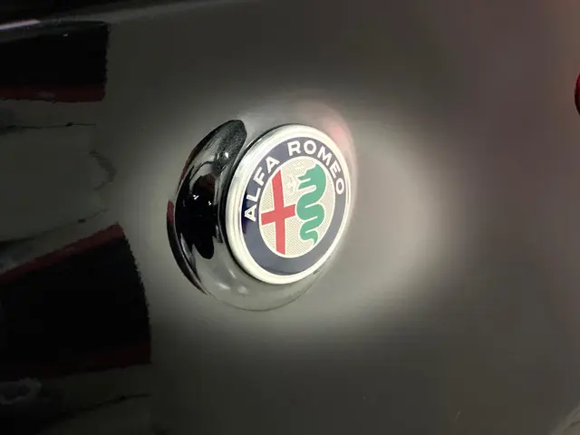 Alfa Romeo Stelvio 2.0 T AWD Veloce 2021 Benzine 21