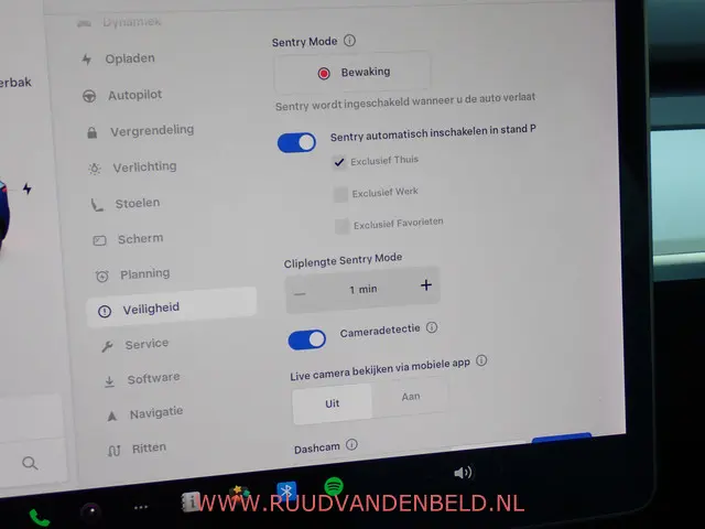 Tesla Model Y Long Range AWD 75kWh 2021 Elektrisch 19