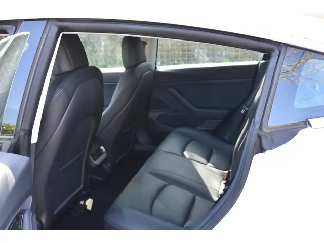 Tesla Model 3 Standard RWD Plus 60 kWh 2020 Elektrisch 9