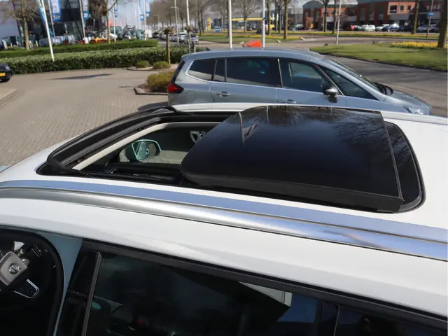 Volvo XC40 1.5 T3 Momentum 2019 Benzine 18