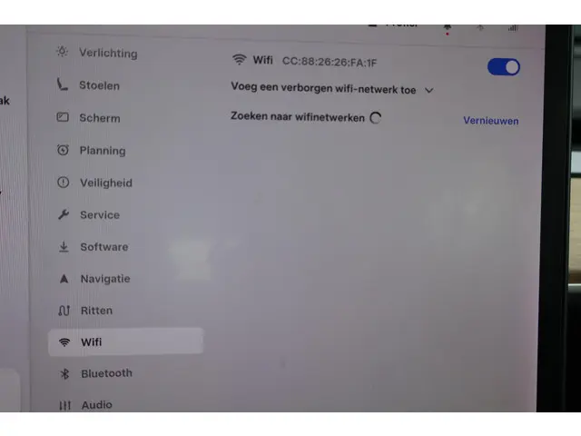 Tesla Model 3 Long Range AWD 75 kWh 2019 Elektrisch 47