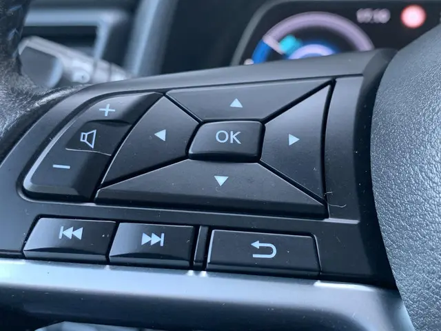 Nissan Leaf Acenta 40 kWh 2020 Elektrisch 18