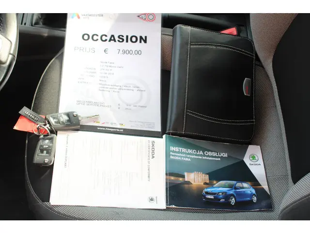 Škoda Fabia 1.0 TSI Monte Carlo 2018 Benzine 27