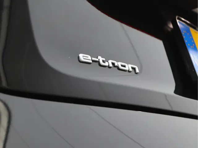 Audi e-tron Sportback 55 quattro 95KWh 2021 Elektrisch 23