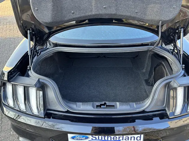 Ford Mustang Fastback 5.0 V8 Mach-1 2023 Benzine 9