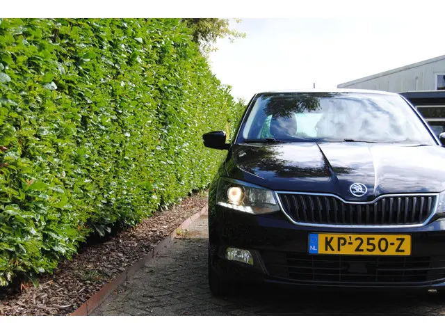 Škoda Fabia 1.2 TSI JOY 2017 Benzine 2