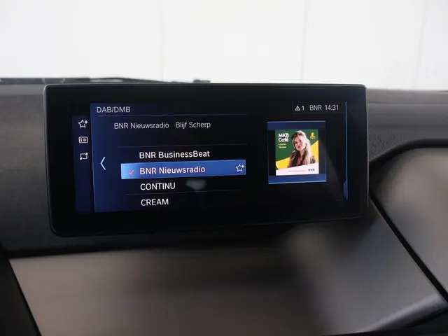 BMW i3 Basis iPerformance 94Ah 33 kWh 2018 Elektrisch 30