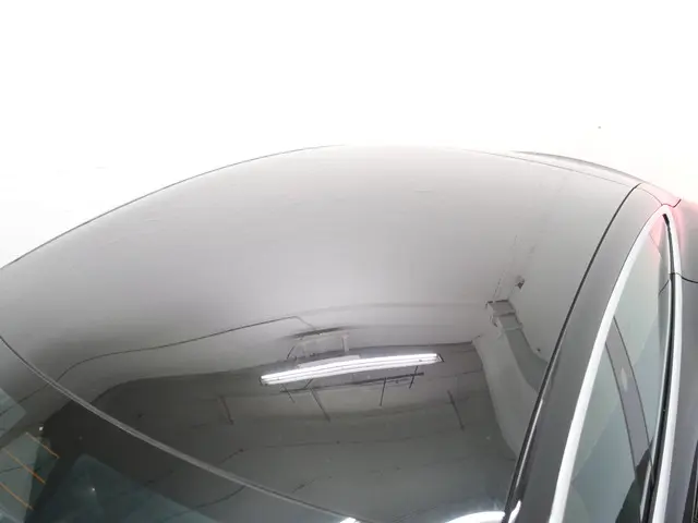 Tesla Model S 75D Performance Pack 2018 Elektrisch 5