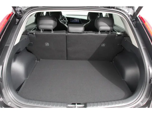 Kia Niro EV DynamicPlusLine 64.8 kWh 2024 Elektrisch 20