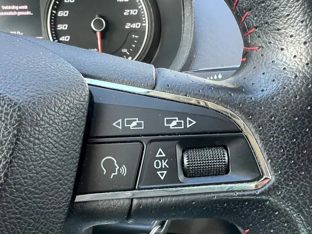 SEAT Ibiza 1.0 EcoTSI FR Connect NL AUTO 2016 Benzine 13