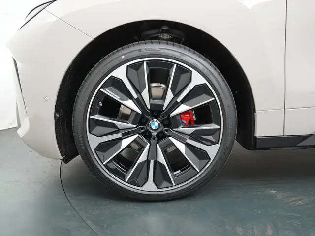 BMW iX xDrive45 101 kWh 2026 Elektrisch 30