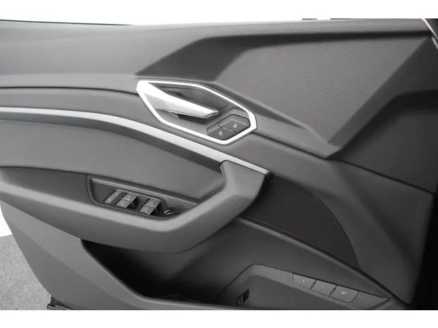 Audi e-tron 55 Quattro Advanced 2019 Elektrisch 36