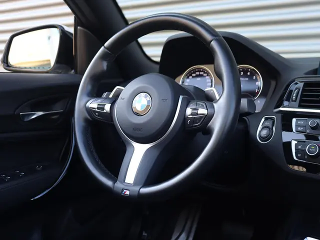 BMW 2 Serie Cabrio 220i 2019 Benzine 32