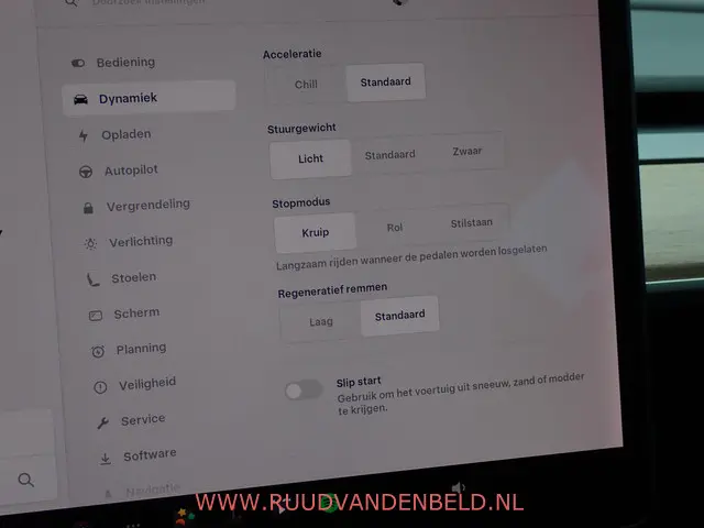 Tesla Model 3 SR+ 60KWH 2019 Elektrisch 25
