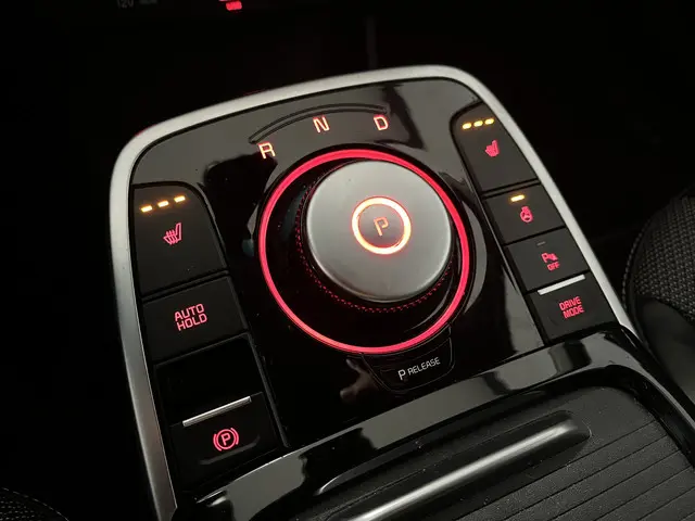 Kia e-Niro Edition 64 kWh 2021 Elektrisch 10