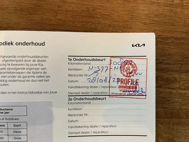 Kia e-Niro DynamicLine 64 kWh 2021 Elektrisch 41