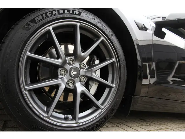 Tesla Model 3 Standard RWD Plus 60 kWh 2022 Elektrisch 42