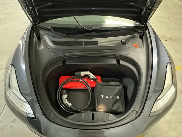 Tesla Model 3 Long Range AWD 75 kWh 2019 Elektrisch 4