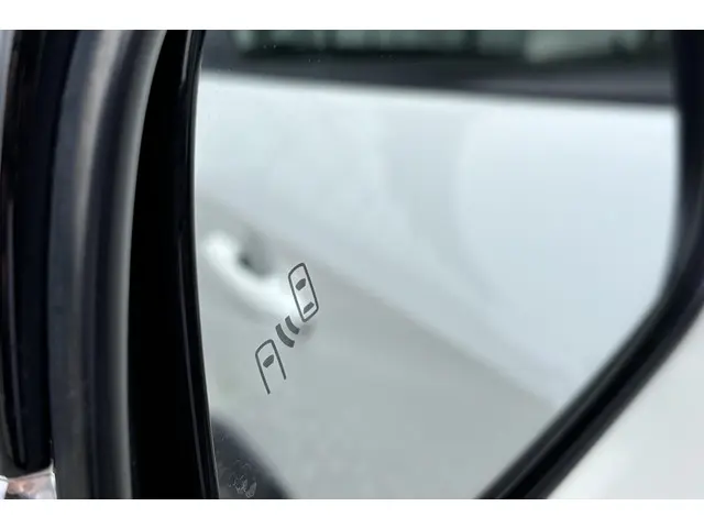 Toyota RAV4 2.5 Hybrid AWD Bi-Tone 2019 Hybride Benzine 12