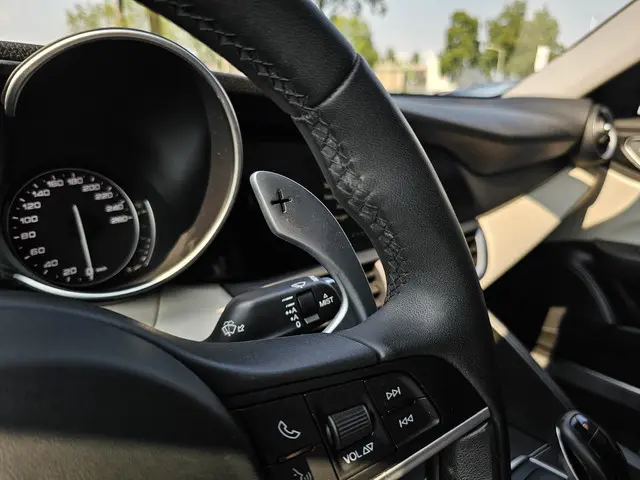 Alfa Romeo Giulia 2.2 2019 Diesel 13