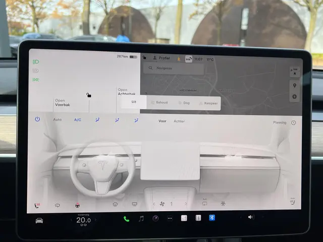Tesla Model Y Long Range AWD 75 kWh 2022 Elektrisch 19