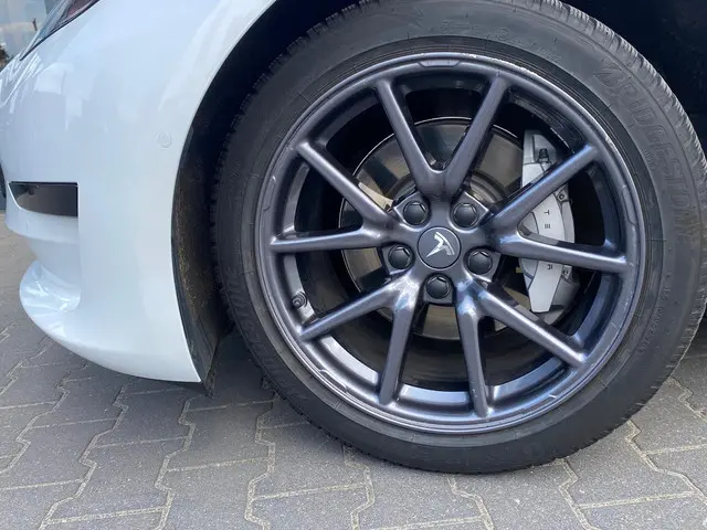 Tesla Model 3 Standard RWD Plus 60 kWh 2020 Elektrisch 25