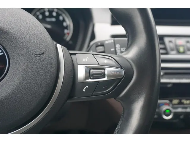 BMW X1 xDrive25e 2021 Hybride Benzine 14