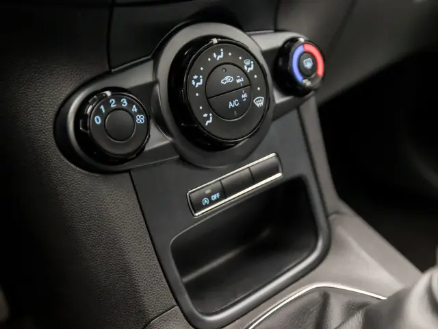 Ford Fiesta 1.0 Sport 2015 Benzine 10