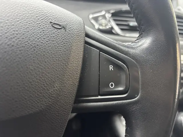 Renault Grand Scénic 1.2 TCe Limited 2014 Benzine 14