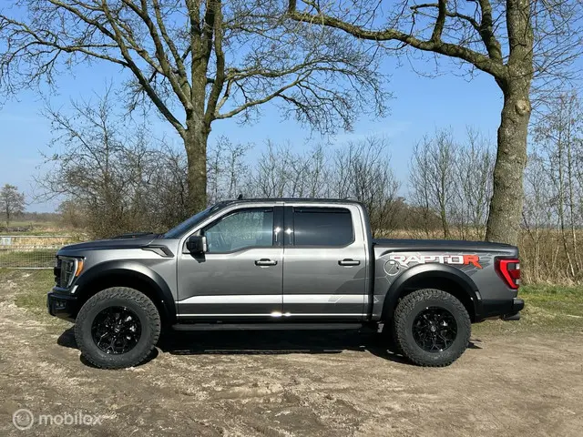Ford F-150 3