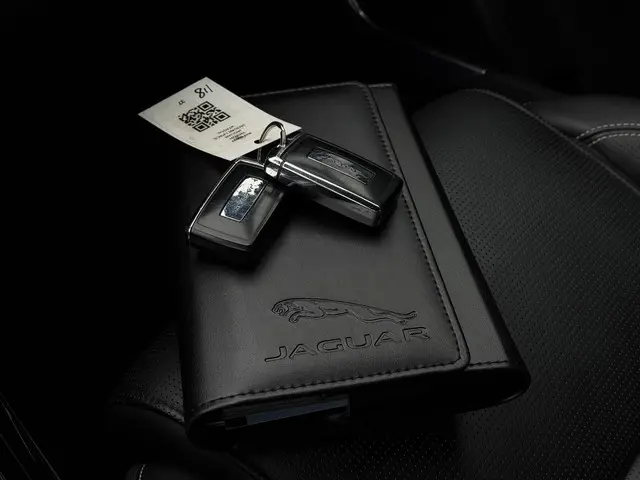 Jaguar I-PACE Aut. EV400 4WD HSE 90kWh 2018 Elektrisch 39