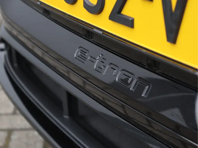 Audi e-tron 50 quattro 71 kWh 2020 Elektrisch 10
