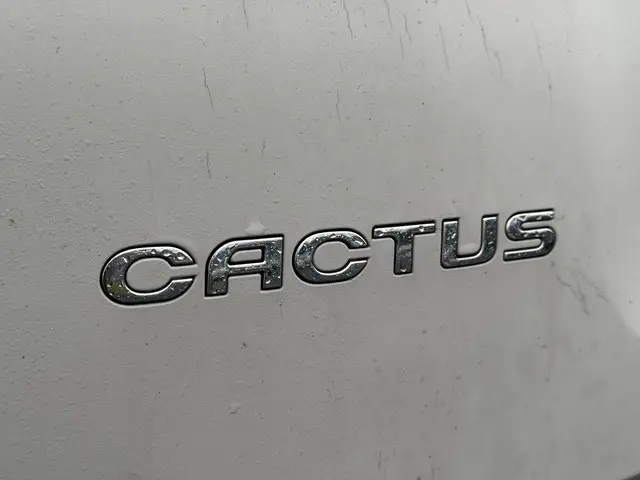 Citroën C4 Cactus 1.2 e-VTi Shine 2015 Benzine 32