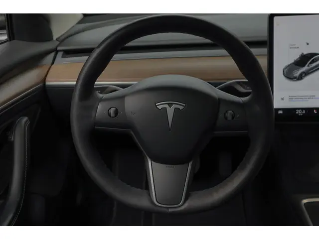 Tesla Model 3 Standard Plus 2021 Elektrisch 13
