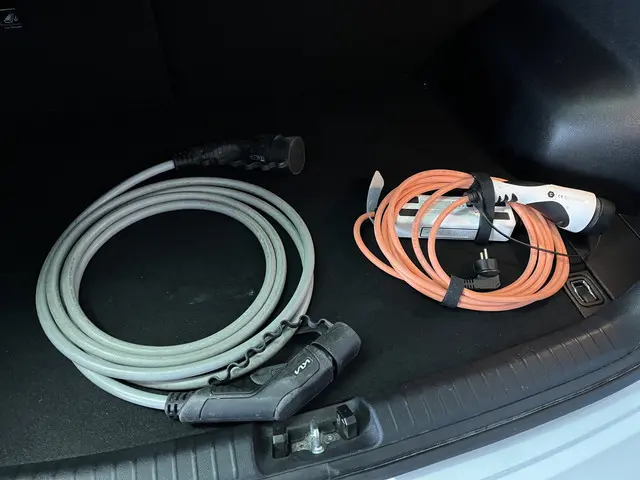 Kia e-Niro Edition 64 kWh 2021 Elektrisch 38