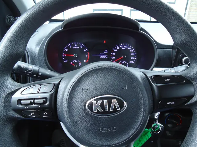Kia Picanto 1.0 CVVT EconomyPlusLine 2019 Benzine 10