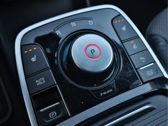 Kia e-Niro Edition 64 kWh 3-Fase 2022 Elektrisch 23