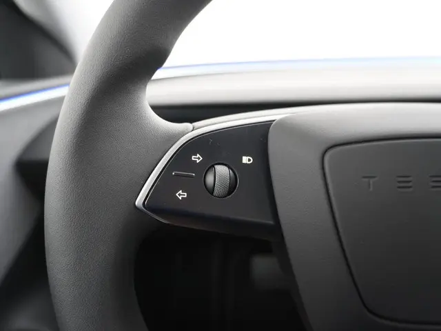 Tesla Model 3 RWD 60 kWh 2024 Elektrisch 29