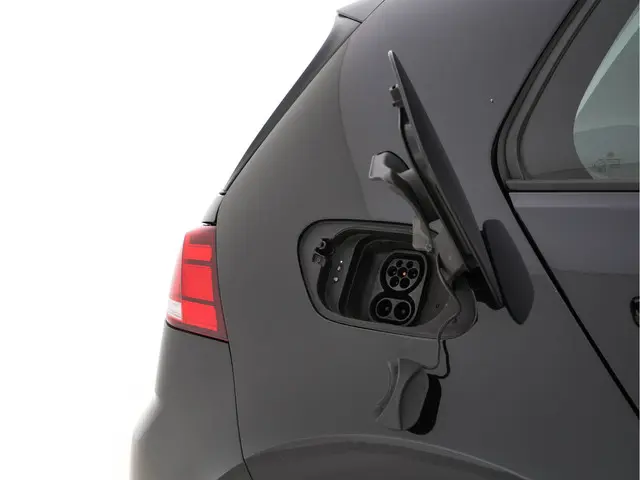 Volkswagen e-Golf E-DITION 2020 Elektrisch 31
