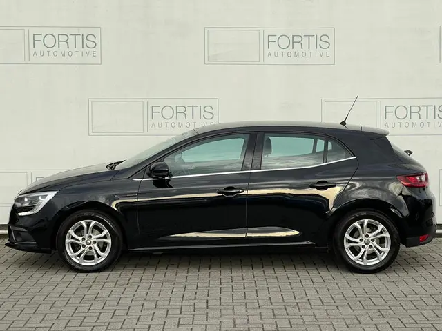 Renault Mégane 1.2 TCe Zen 2016 Benzine 9