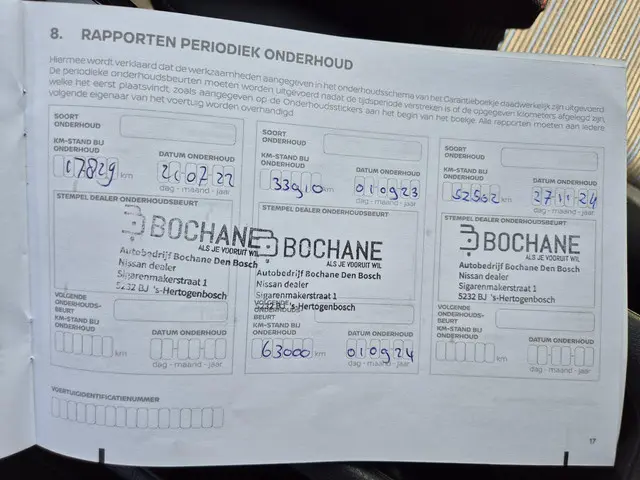 Nissan Leaf e+ N-Connecta 62 kWh 2021 Elektrisch 32