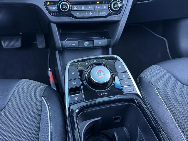 Kia e-Niro DYNAMICPLUSLINE 64 KWH 2021 Elektrisch 23