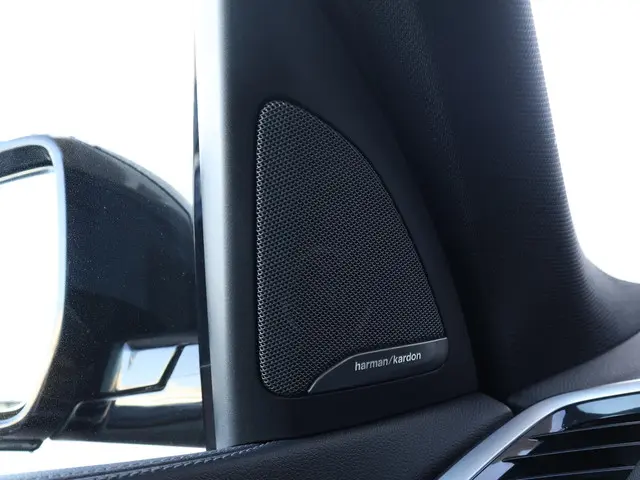 BMW X5 xDrive40i High Executive 2020 Benzine 24