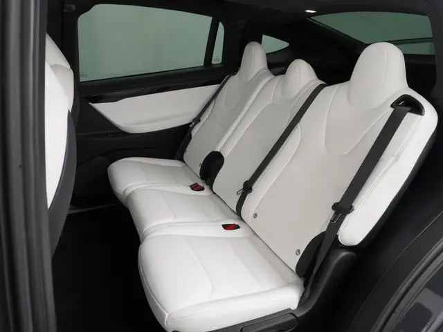 Tesla Model X Long Range 100Kwh 2020 Elektrisch 21