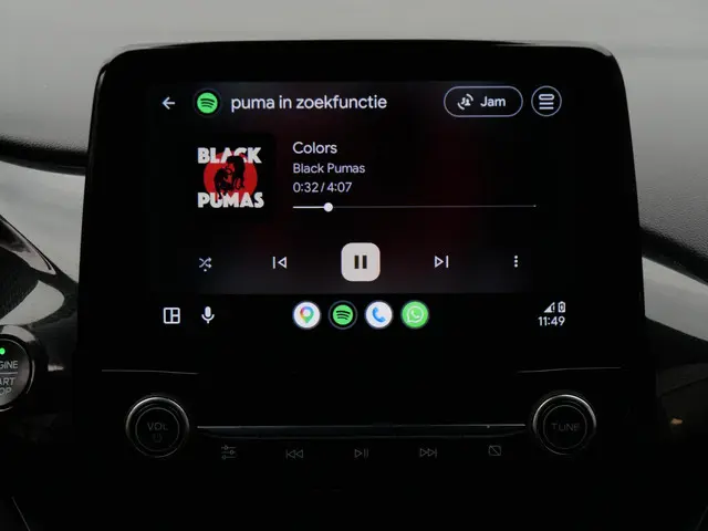 Ford Puma 1.0 HYBRID ST-LINE/ WINTER PACK/ 2022 Benzine 9